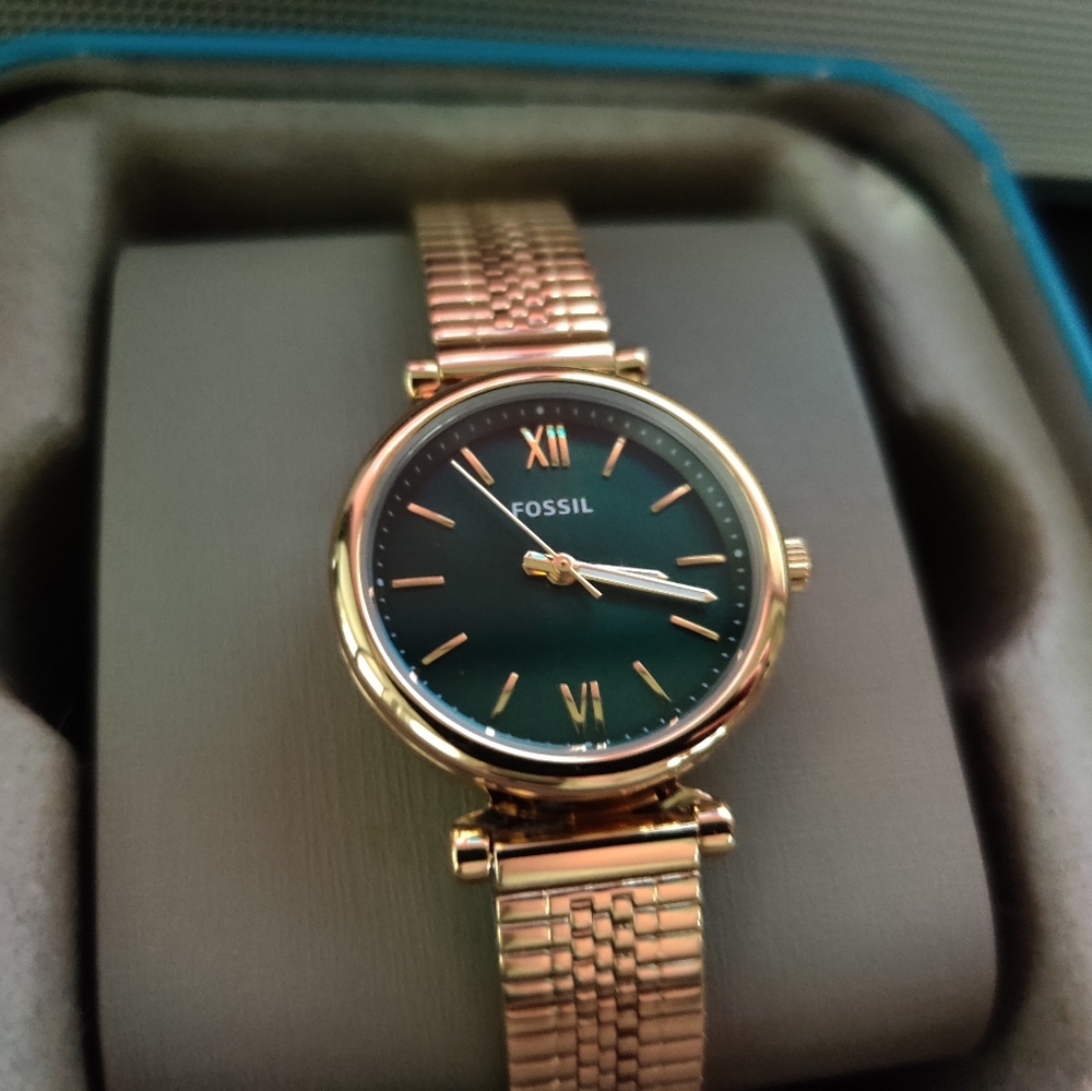 🍃 Fossil Watch